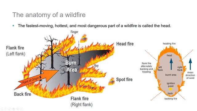 Introduction to the fire environment and fire behaviour (FENZ CPD, Sep 2020) смотреть онлайн
