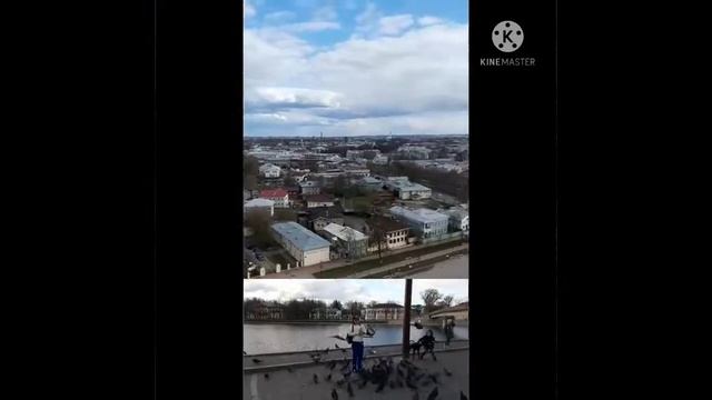вологда и голуби смотреть онлайн