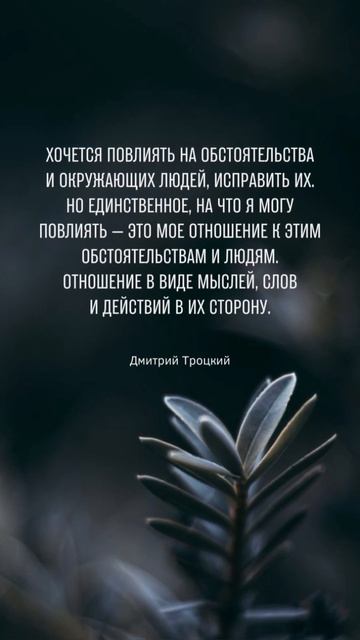 15 июня 2023 г. смотреть онлайн