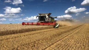 New Claas TRION 750 TERRA TRAC APS HYBRID combine harvesting wheat