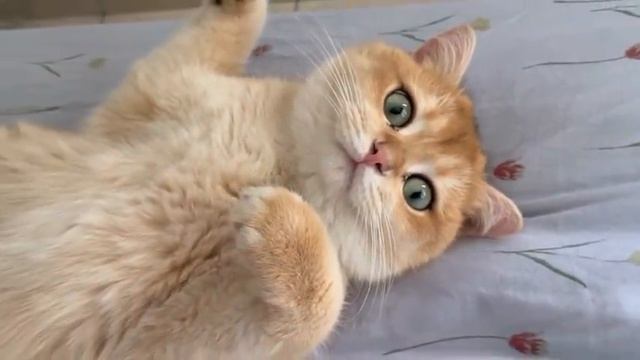 Хакамада ИЮНЬ Новое Видео 2022 Послушайте ЭТО!!!