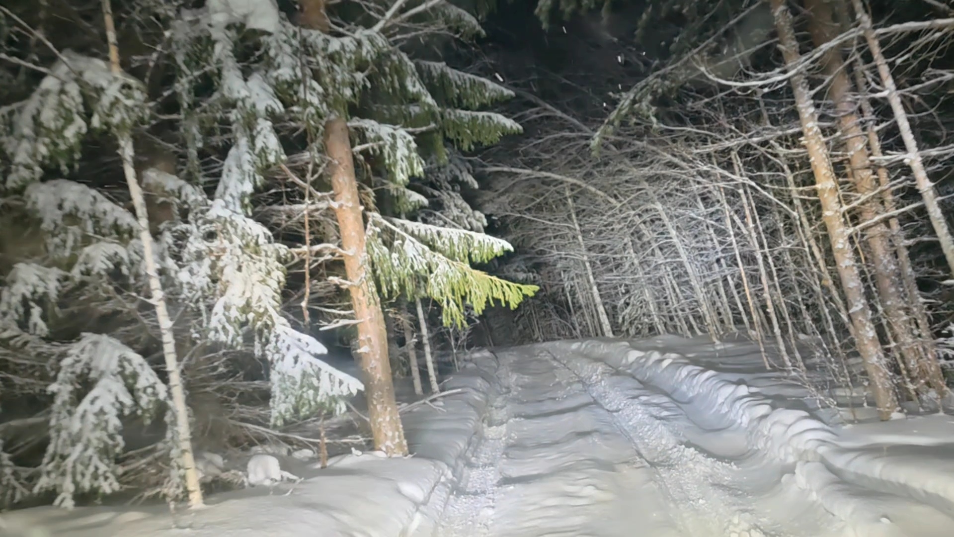 Ночная поездка по лесу от качели у Каменного Урочища смотреть онлайн