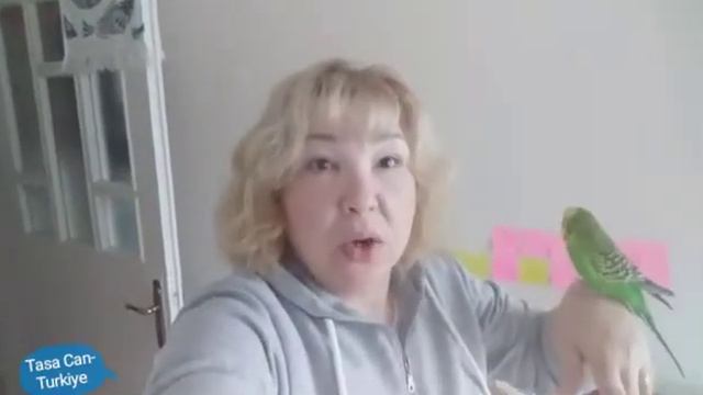 Турецкая жена🌴✅готовлю paça çorbası 🥣✅небольшая болталка 😉✅ Турция 🇹🇷 смотреть онлайн
