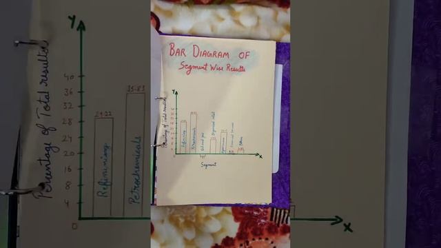 Segment Report Analysis| Reliance Industries Ltd| Accounts Project| Class 12th |20 marks File |CBSE смотреть онлайн