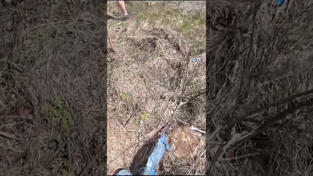 Канада. Мы пробуем плавать в холодной воде ч.1 смотреть онлайн