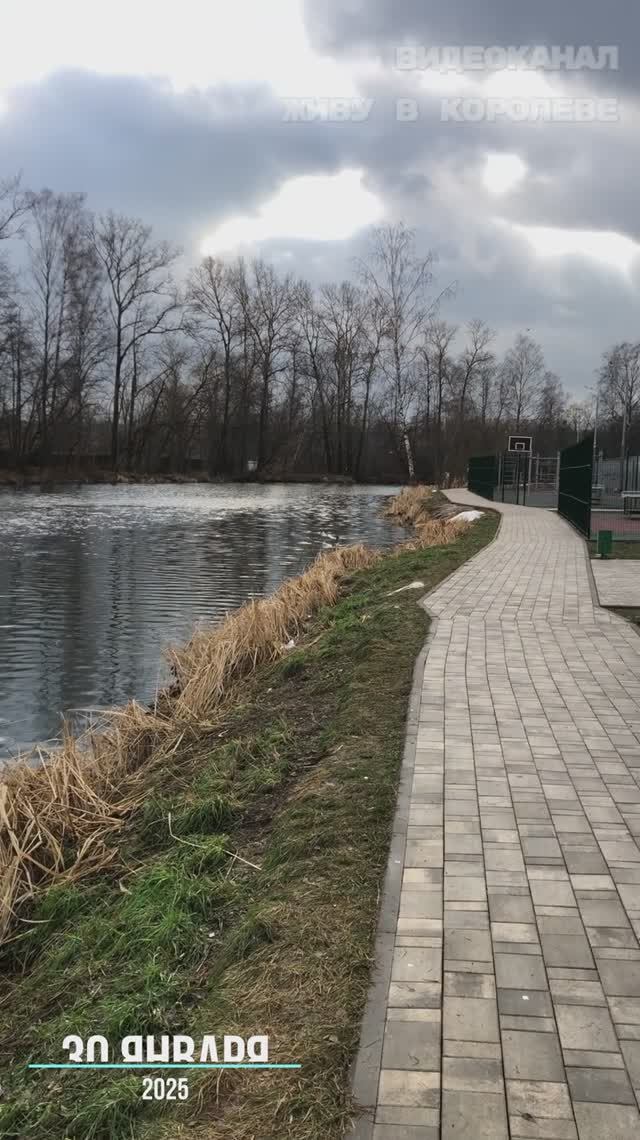 Самый лучший январь 2025 смотреть онлайн