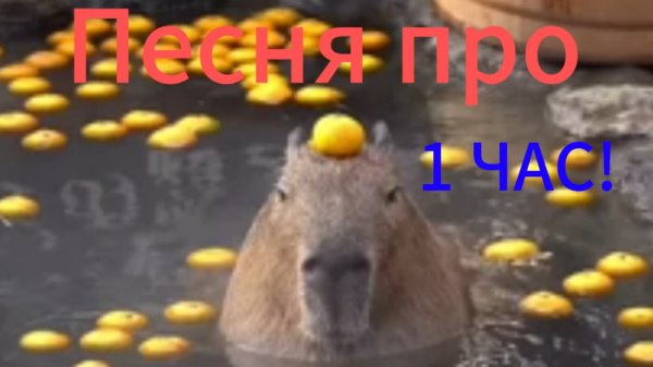 Клип про капибару. 1 ЧАС!