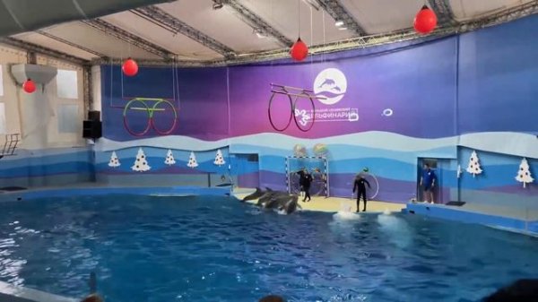 Дельфинарий Сочи Ривьера