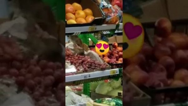 мышка в пятёрочке