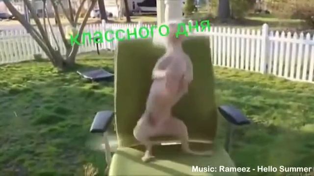 Классного дня смотреть онлайн