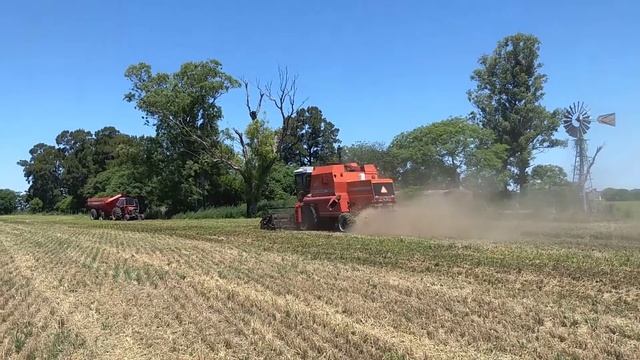 Massey Ferguson 5650 Advanced
