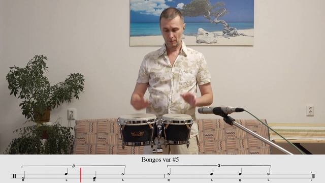 Bongos Solo - Rhythmic Phrases Tutorial смотреть онлайн