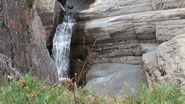 3 Пути Дороги Сергея Горбунова Кара Буредан 05 02 2023 Вариант 2 смотреть онлайн