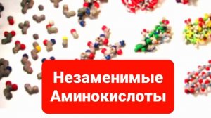 Незаменимые аминокислоты.Для чего они нужны и как часто нужно, чтобы они поступали в организм?