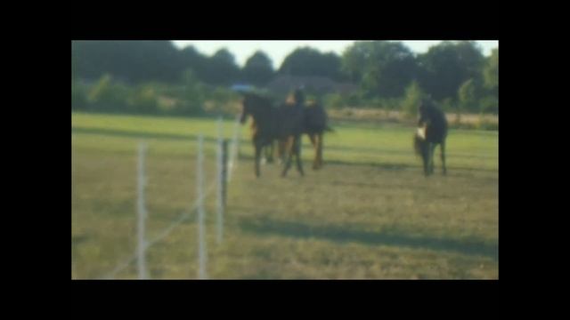 DAY 3 OF TREC 2022, 13 km, BEST DAY OF TREC 2022 смотреть онлайн