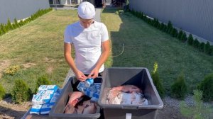 Лещ сухого посола!