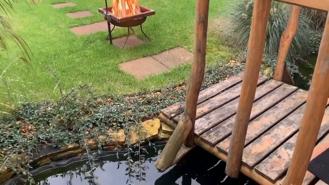 Шашлик з свинини ( шея на шампурах смотреть онлайн