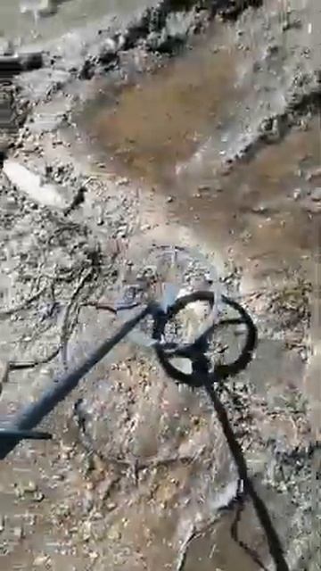 Первая находка с Ultrascan. Только-что купил прибор смотреть онлайн