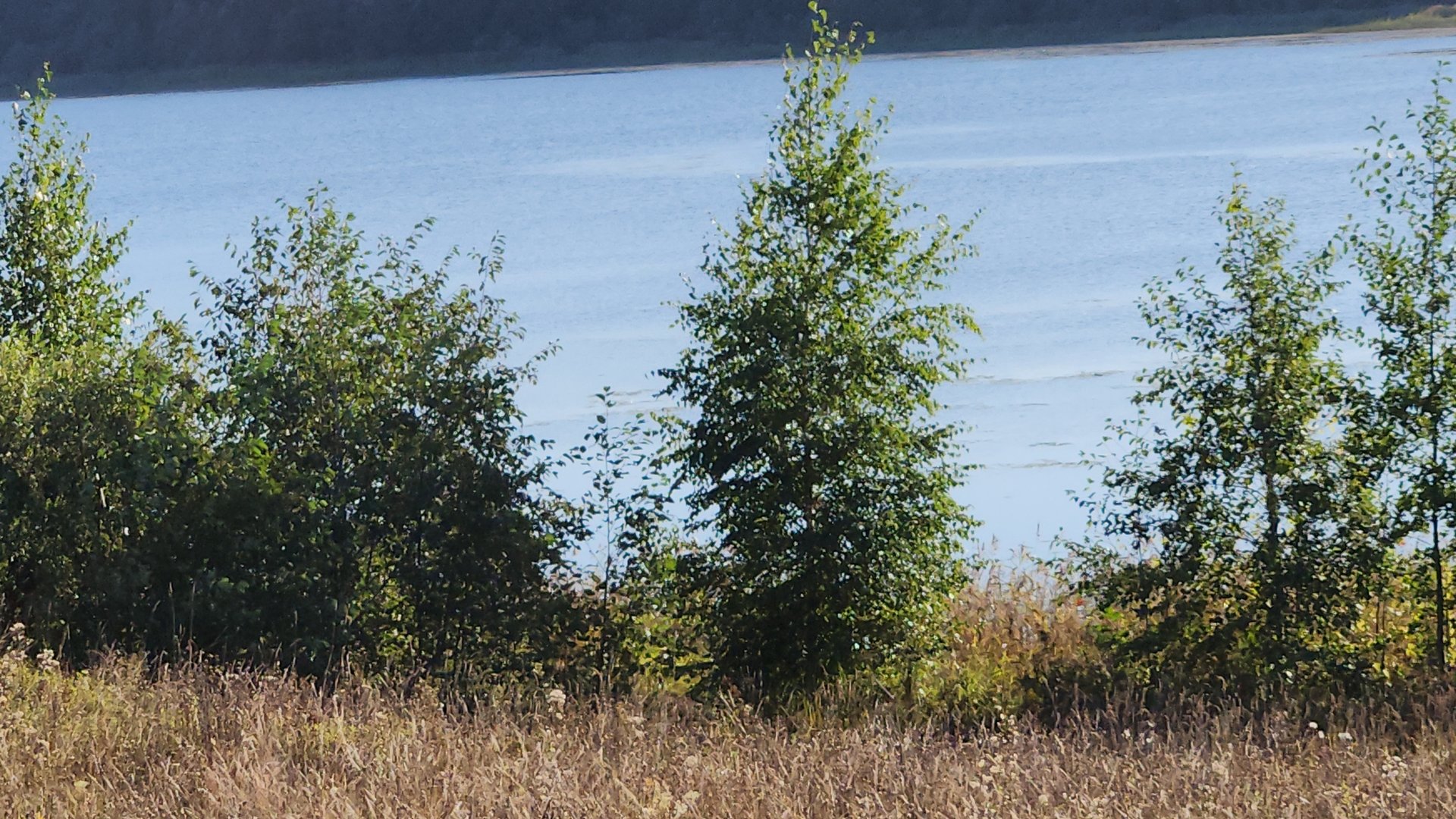 участок на берегу первая линия озеро Бологое смотреть онлайн