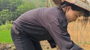 17 year old single mother living in the forest : Save Two Children & Harvesting Corn || Ly Tieu Nu