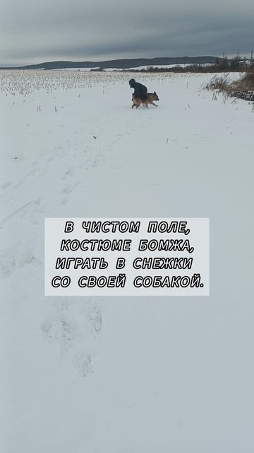 Счастье собачника смотреть онлайн