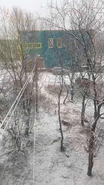 В Петропавловске-Камчатском начал падать снег. 🌨️ смотреть онлайн