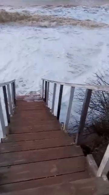 Смыло пляж на Учкуевке 26 ноября. Шторм в Крыму #shorts смотреть онлайн
