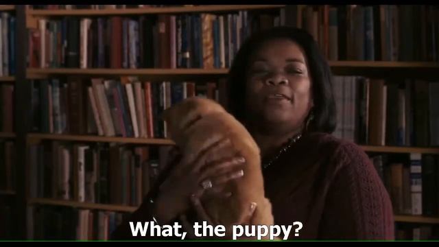 Английский по фильмам: Pre-Intermediate. Курсы английского языка WISDOM