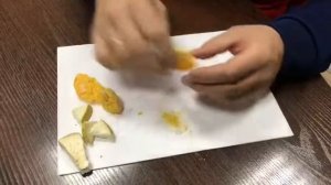 Сушка продуктов  в вакуумно-сублимационной установке