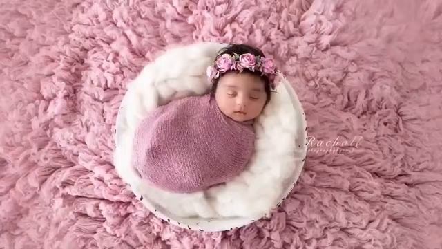 The Newborn Photography Business School Now Open - Enroll Now смотреть онлайн