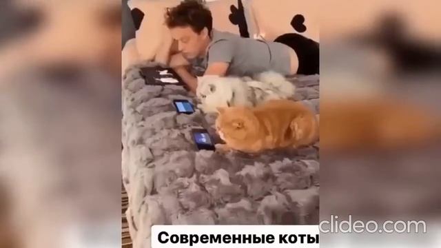 Я РЖАЛ ПОЛ ЧАСА!!!Попробуй не засмеятся! смотреть онлайн