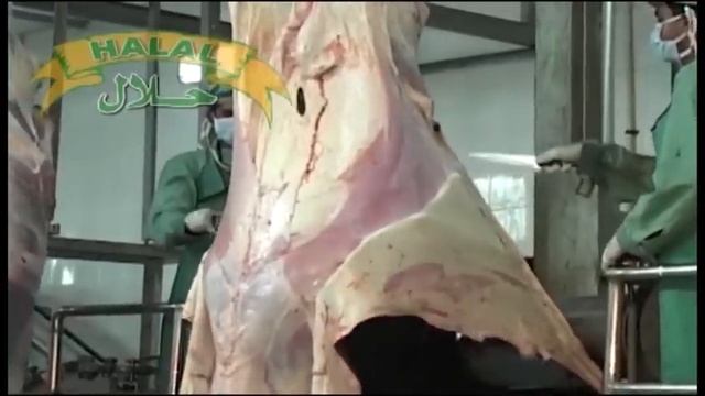 meatek halal смотреть онлайн