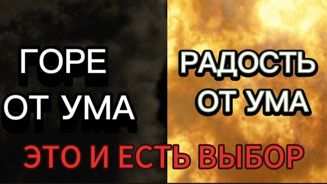 ГОРЕ ОТ УМА РАДОСТЬ ОТ УМА ЭТО И ЕСТЬ ВЫБОР смотреть онлайн