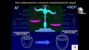 ХСН часть 1 Соколов
