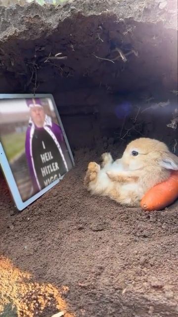 Милый крош смотреть онлайн