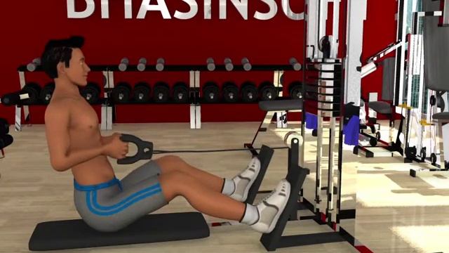 Personal Trainer : Weight Training - Seated Cable Row