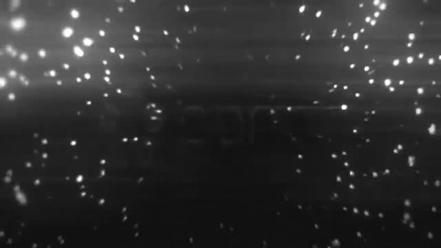 Byrdman Edit's New Overlay смотреть онлайн