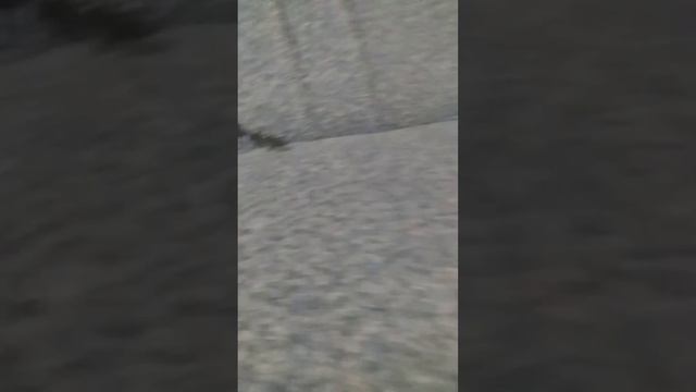 мостовой червь (1часть) смотреть онлайн