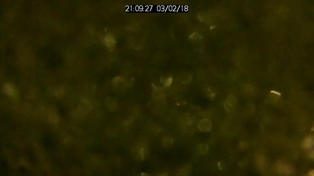 Cherry Peak Streaming Webcam смотреть онлайн