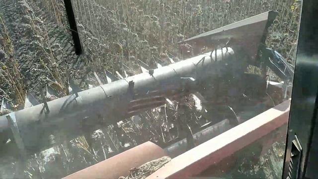 Утро комбайнера. Соняшник 2020. Кейс 2166