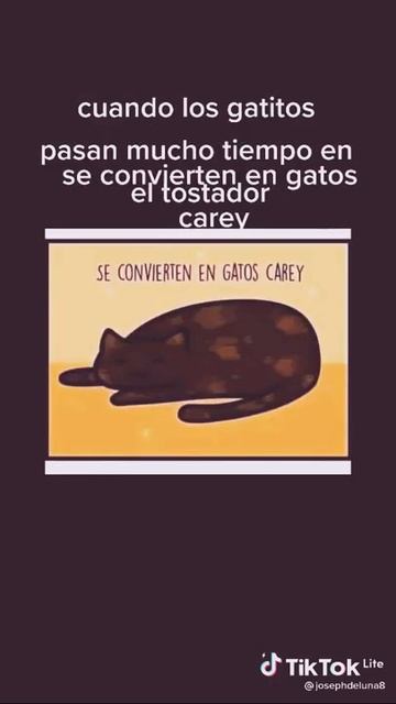 mi prima 😐🤭 gatiso y gatos 😻😻🤭😝🎸 смотреть онлайн