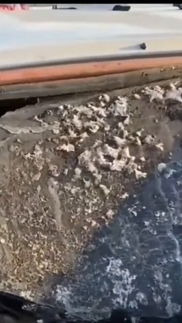 от басов разбилось стекло смотреть онлайн