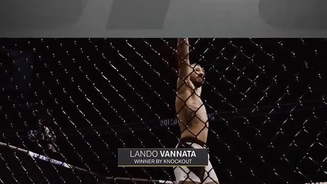 Лучшие нокауты под музыку