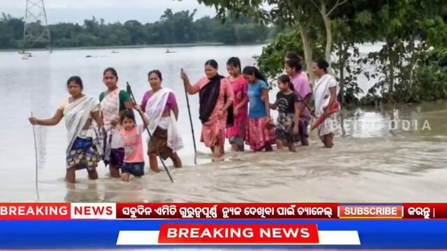today's morning news odisha/4 June 2024/heavy to heavy rain/odisha news today/odisha samachar смотреть онлайн