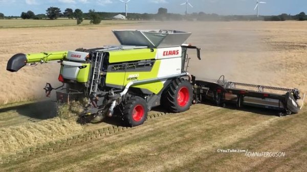 Claas Lexion 8800 with 45ft. MacDon FD245 Header harvesting grass seeds (4K)
