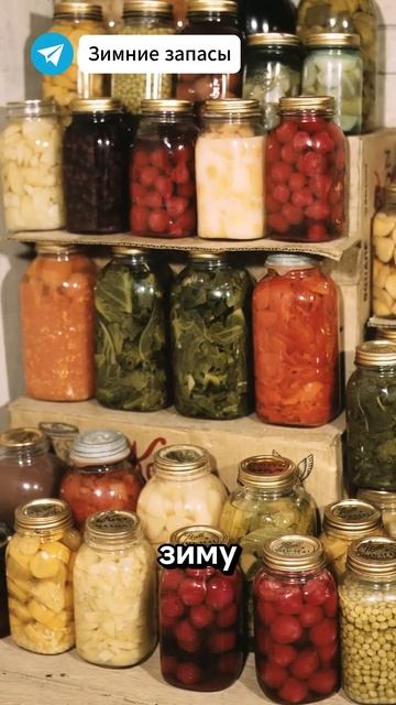 Супер подкормка для растений из яичной скорлупы #подкормка #огород #дача #удобрение смотреть онлайн