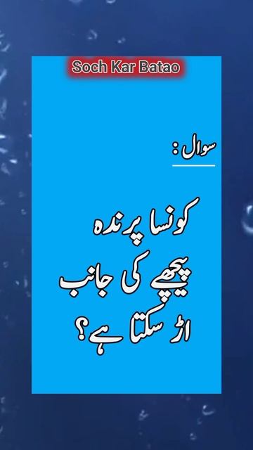 Urdu General Knowledge #youtubeshorts #ytshorts #short смотреть онлайн