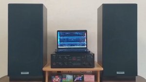 Обзор усилителя VICTOR A-X900