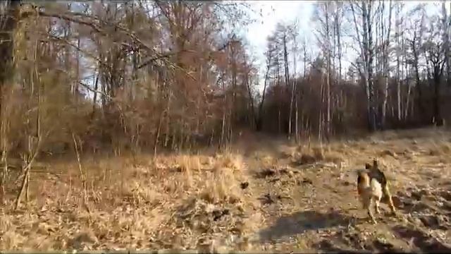 Гуляем с Лари-Теплый Алексей 21 года...Журавушки... смотреть онлайн