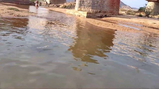 #vlog పక్షులు🐦 sounds in the morning |🏊గలా గలా పారుతున్నా ఏరు..| GAYATHRI LIFESTYLE TELUGU VLOGS | смотреть онлайн